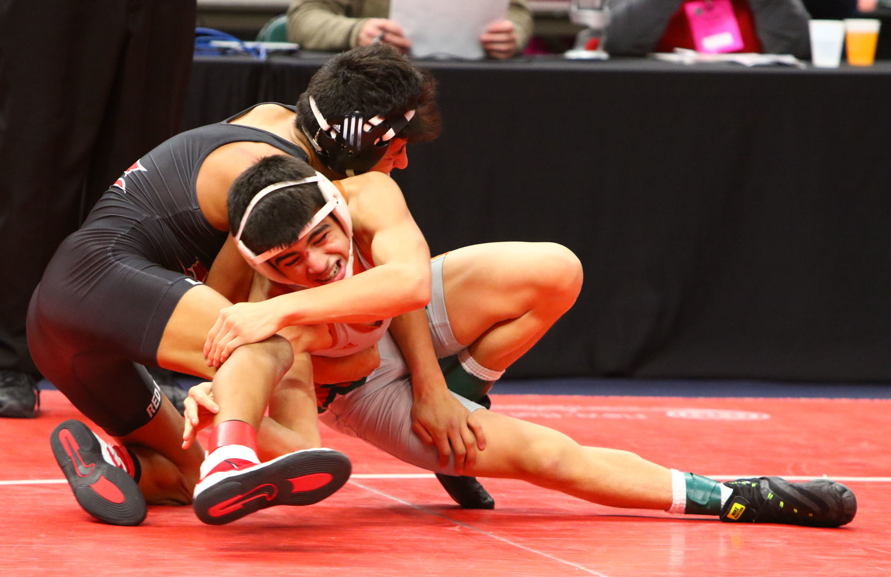 Gallery: Wrestling State Finals